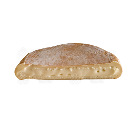 [QQ0100] Reblochon