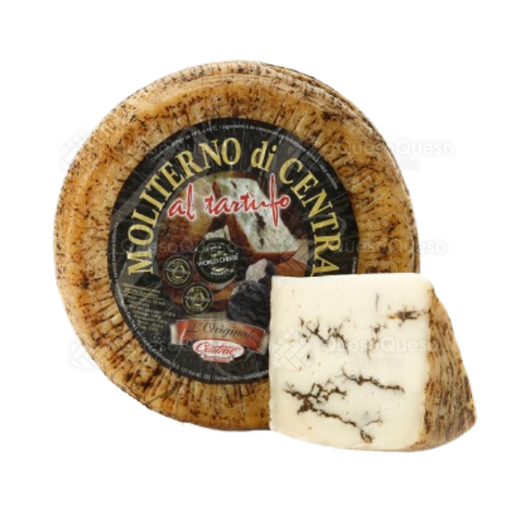 [QQ0128] Moliterno Tartufo